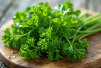 Свеж къдрав магданоз върху дъска за рязане